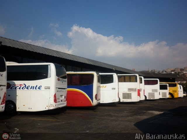 Garajes Paradas y Terminales Caracas por Aly Baranauskas