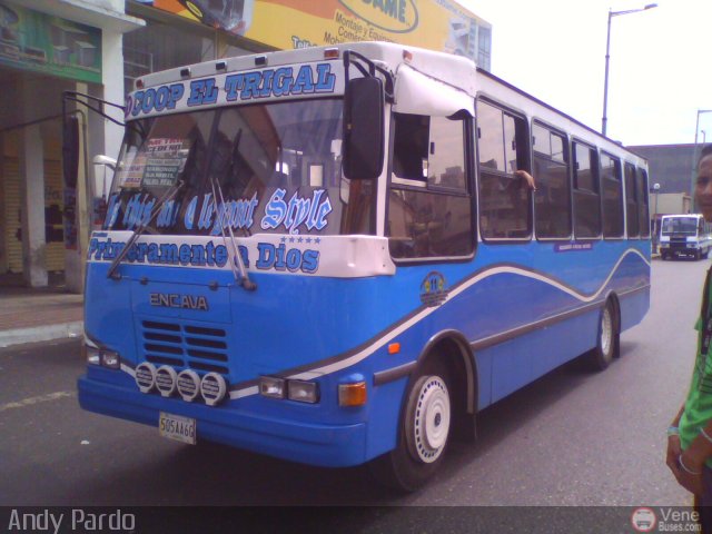 CA - Asociacin Coop. El Trigal R.L. 11 por Andy Pardo