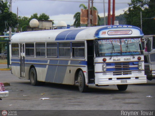 Transporte Ta�es 38 por Royner Tovar
