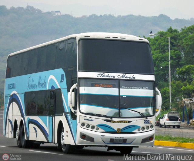 A.C. Mixta de Transporte T�chira M�rida R.L. 0203 por Marcos David M�rquez