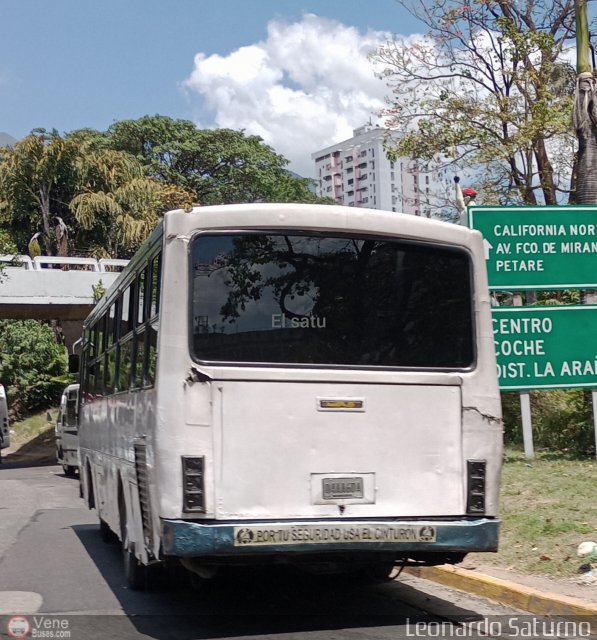 Particular o Desconocido 04 por Leonardo Saturno