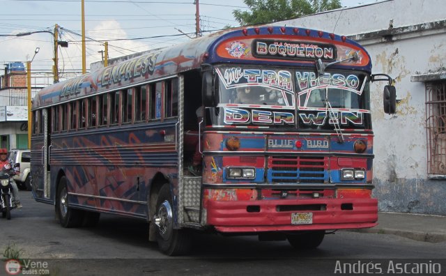 Transporte Unidos Boquer�n C.A. 35 por Andr�s Ascanio