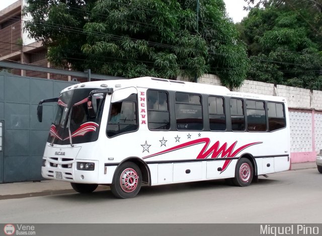 La Wawa W-2020 por Miguel Pino