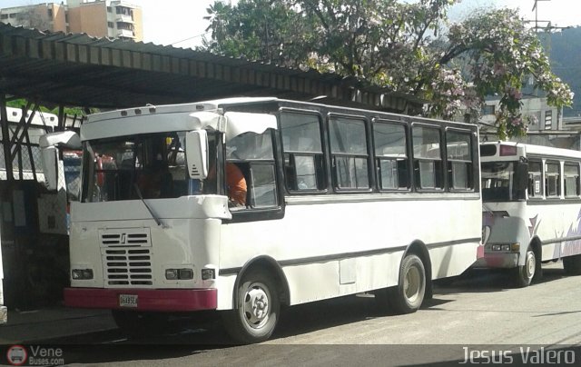 MI - A.C. Lnea La Rosa de Guatire 82 por Jess Valero
