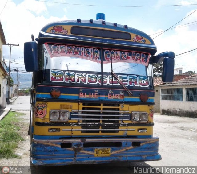 Expresos Nirgua 0095 por Eduard Delgado