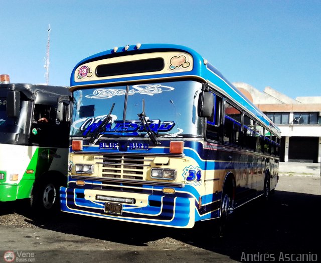 A.C. Boquer�n Express 39 por Andr�s Ascanio