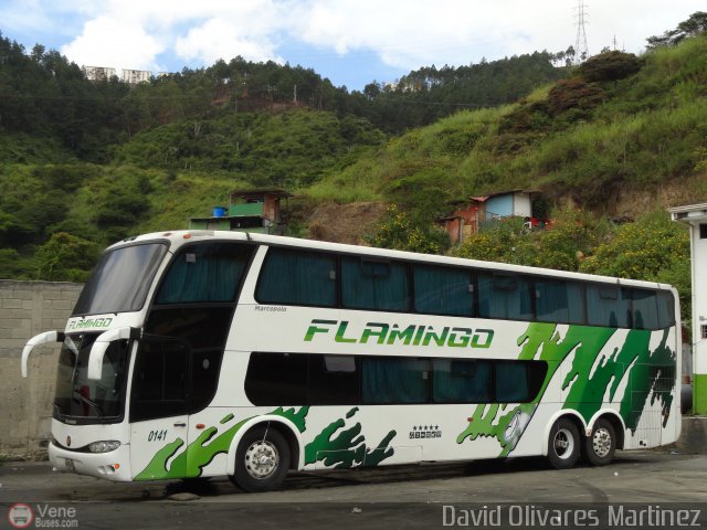 Expresos Flamingo 0141 por David Olivares Martinez