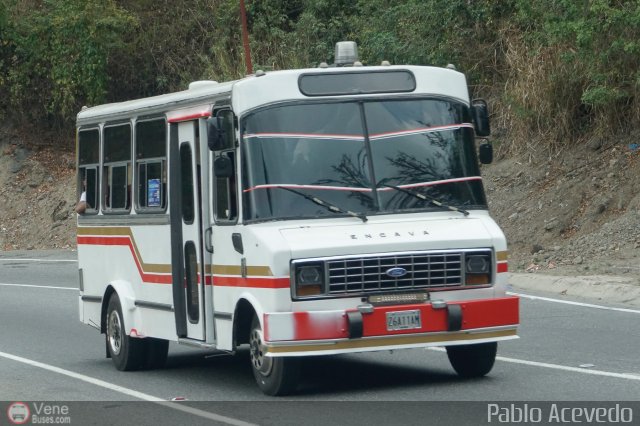 DC - Tigres de Plan de Manzano 031 por Pablo Acevedo