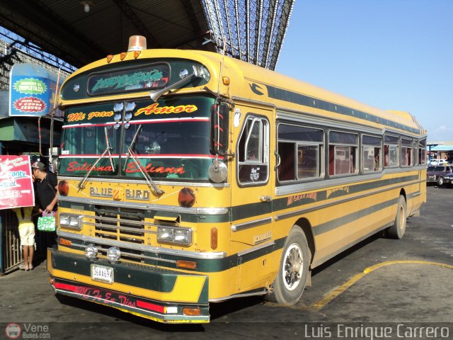 ZU - Colectivos Concepción 039 por Luis Enrique Carrero