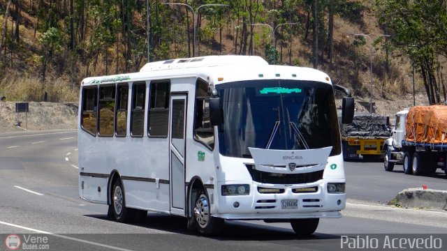 Transporte Virgen del Carmen 17 por Pablo Acevedo