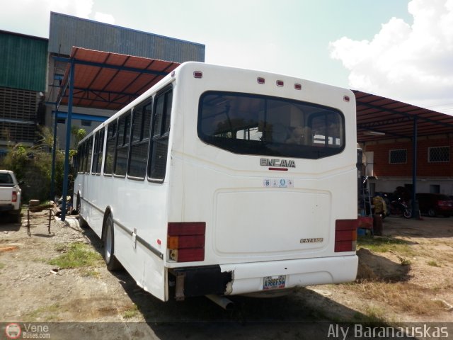 Particular o Desconocido 98 por Aly Baranauskas