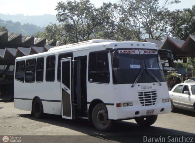 A.C. L�nea Sucre 117 por Darwin Sanchez