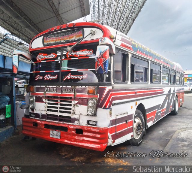 Expresos La Gran Colombia 05 por Sebasti�n Mercado