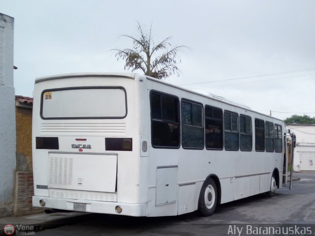 CA - Uni�n Caribe C.A. 25 por Aly Baranauskas