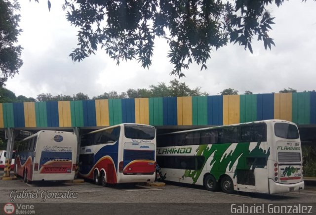 Garajes Paradas y Terminales Merida por Gabriel Gonz�lez