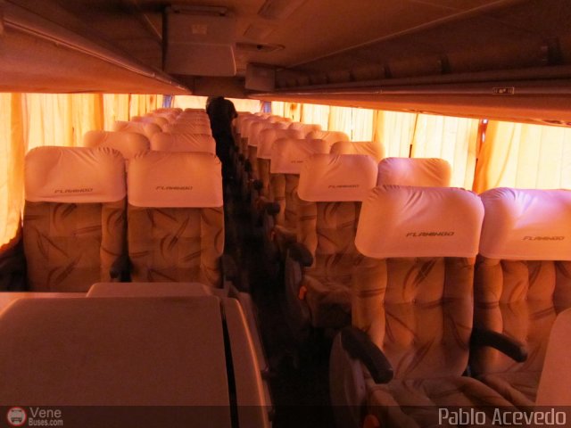 Expresos Flamingo 0115 por Pablo Acevedo