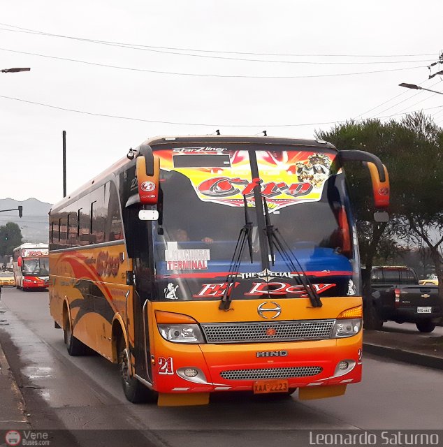 Particular o Desconocido 21 por Leonardo Saturno