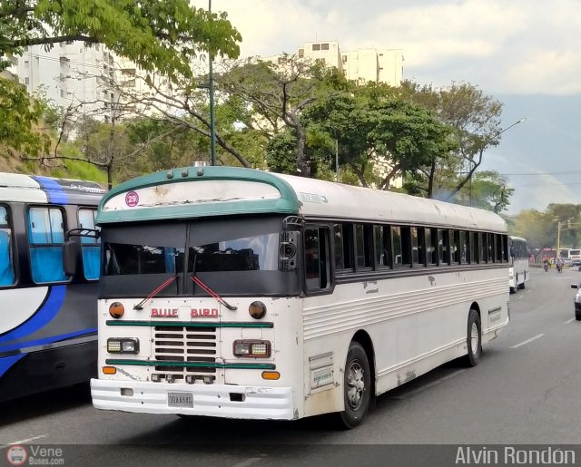 A.C. Boquer�n Express 29 por Alvin Rond�n