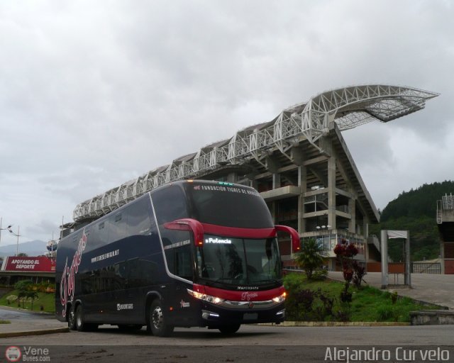 Tigres de Aragua B.B.C. 01 por Alejandro Curvelo
