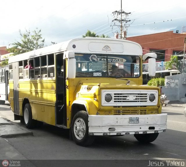 MI - L�nea Terepaima 010 por Jes�s Valero