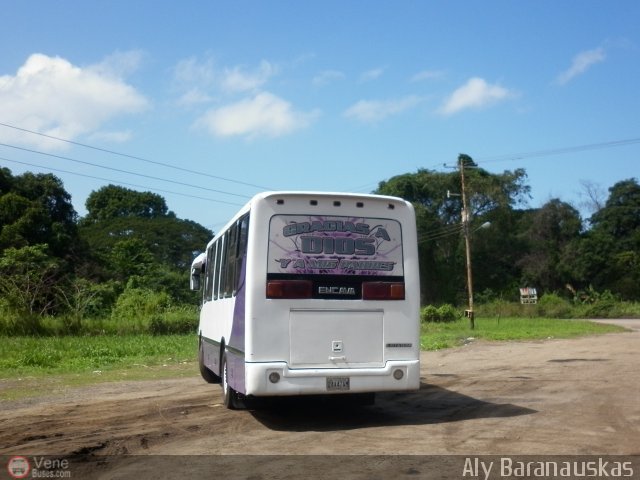 Particular o Desconocido 24 por Aly Baranauskas