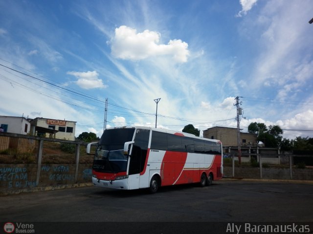 Particular o Desconocido 2016 por Aly Baranauskas