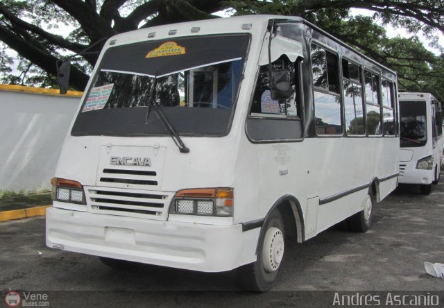 CA - Uni�n Caribe C.A. 50 por Andr�s Ascanio