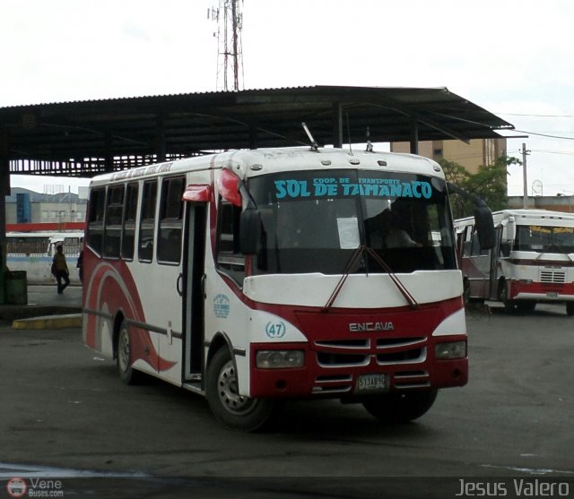 A.C. de Transporte Sol de Tamanaco 47 por Jess Valero