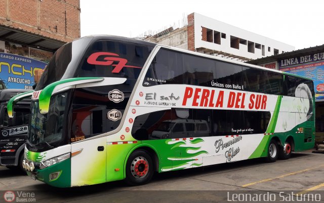 Grupo Perla del Sur S.A.C. 969 por Leonardo Saturno