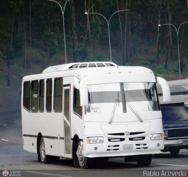 Particular o Desconocido Miranda por Pablo Acevedo