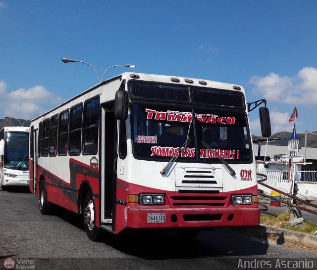 A.C. de Transporte Sol de Tamanaco 38 por Andr�s Ascanio