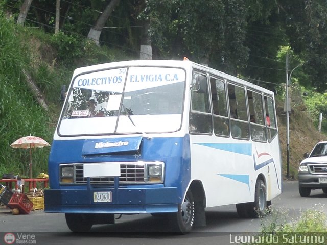 Colectivos El Vig�a 30 por Leonardo Saturno