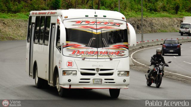 A.C. de Transporte N�mero Uno R.L. 028 por Pablo Acevedo