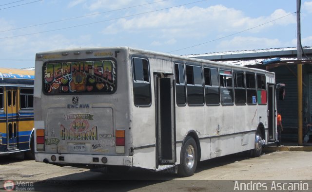 Transporte Guacara 0180 por Andr�s Ascanio