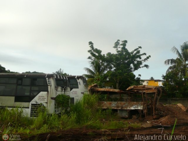 Gobernaci�n del Estado Monagas AC0003 por Alejandro Curvelo