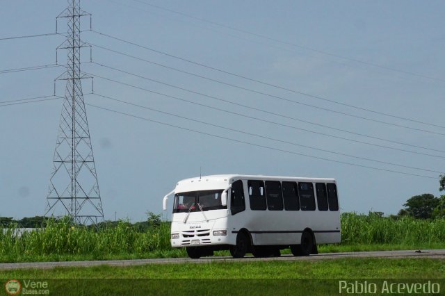 Particular o Desconocido Acarigua por Pablo Acevedo