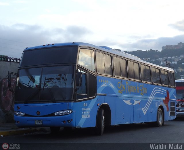 Los P�jaros de Lara 001 por Waldir Mata