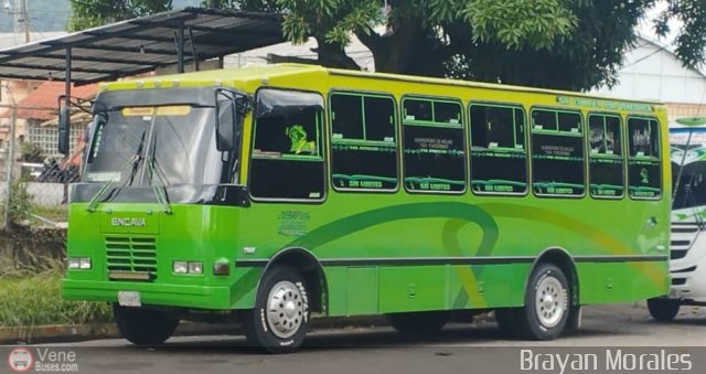 A.C. Transporte Paez 090 por Jerson Nova