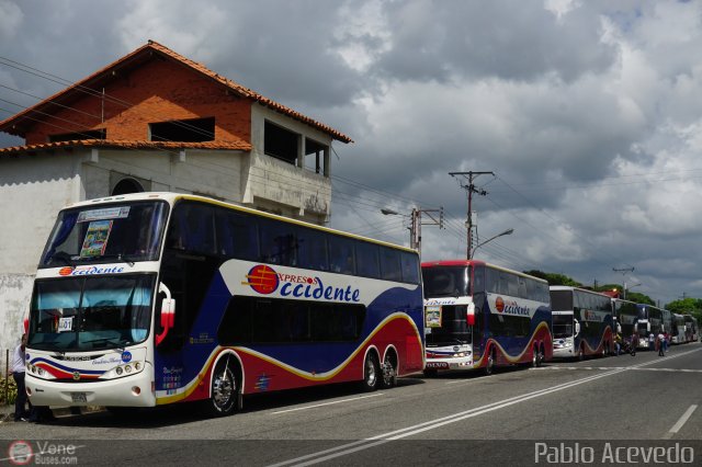 Expresos Occidente Gua 2019 34 por Pablo Acevedo