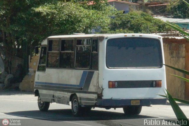 DC - Tigres de Plan de Manzano 090 por Pablo Acevedo