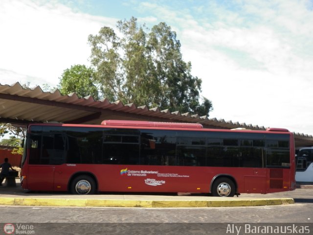 Particular o Desconocido 9999 por Aly Baranauskas