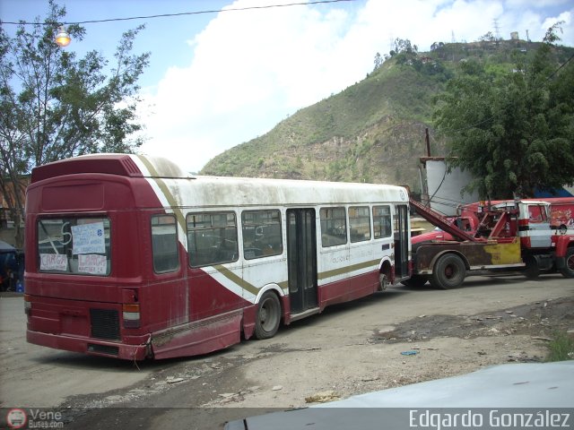 En Chiveras Abandonados Recuperacin 15 por Edgardo Gonzlez