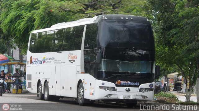 Expresos Occidente 290 por Leonardo Saturno