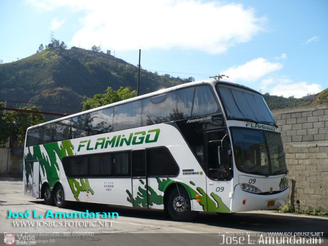 Expresos Flamingo 0009 por Alvin Rondón