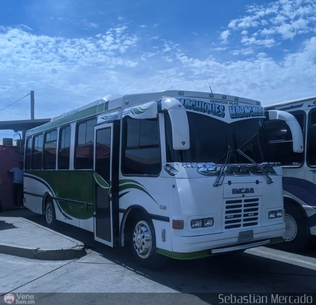 U.L.A.P. Machiques Maracaibo 49 por Sebasti�n Mercado