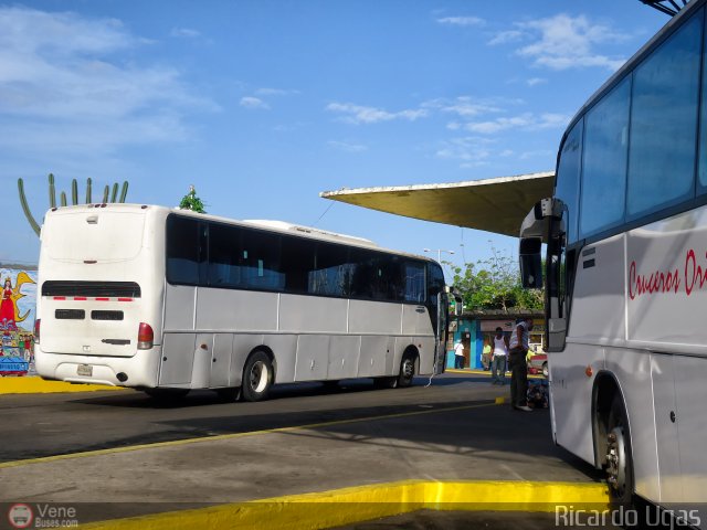 Garajes Paradas y Terminales Carupano por Ricardo Ugas