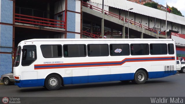 Expresos Los Morros 01 por Waldir Mata