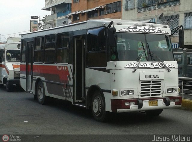 MI - L�nea Terepaima 086 por Jes�s Valero