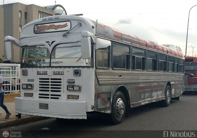 Colectivos Perij� 11 por �ngel Delgado