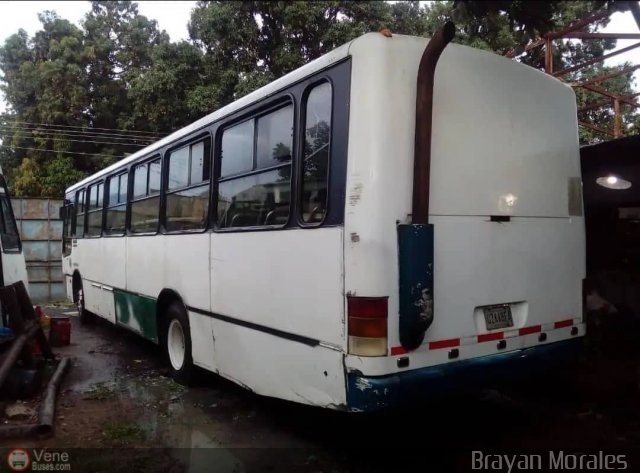 TA - L�nea Santa Teresa 33 por Jerson Nova